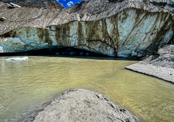 Gaumukh Gangotri Trek